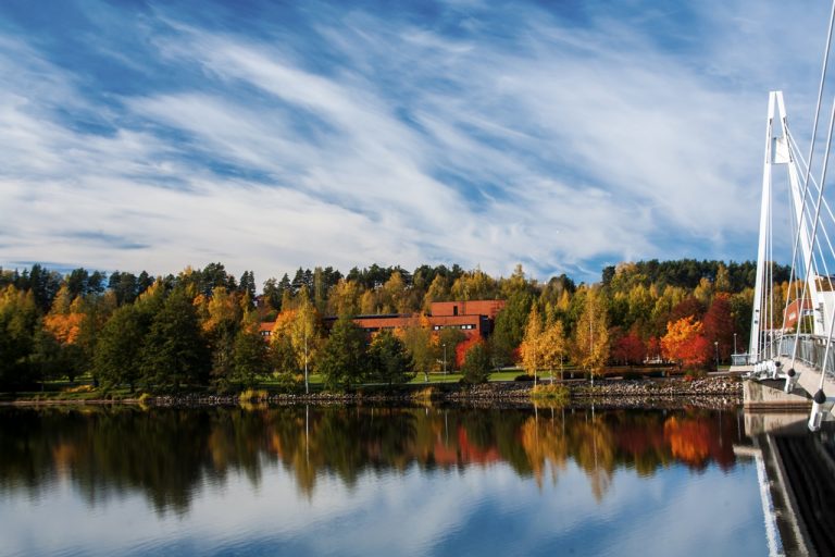 Du học Phần Lan: Bạn có biết những nhóm ngành thế mạnh?