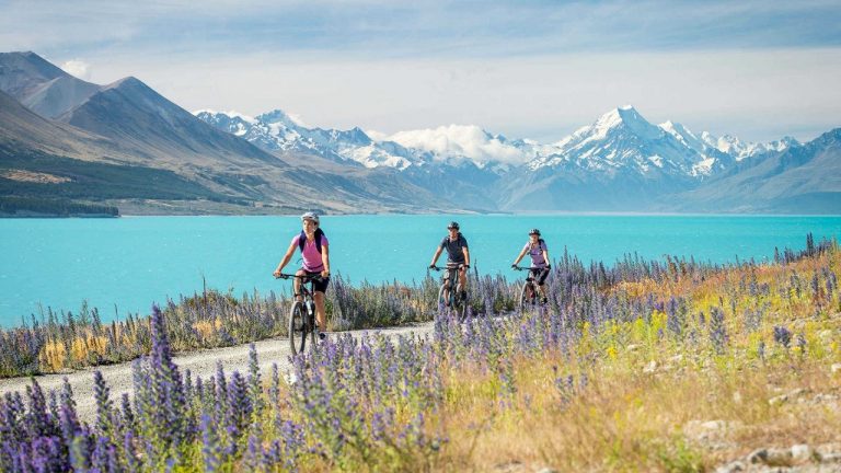 Du học đại học tại New Zealand và các trường đào tạo nổi bật