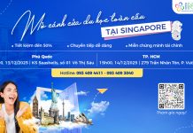 Hoàn tất bằng quốc tế với lộ trình du học Singapore chuyển tiếp